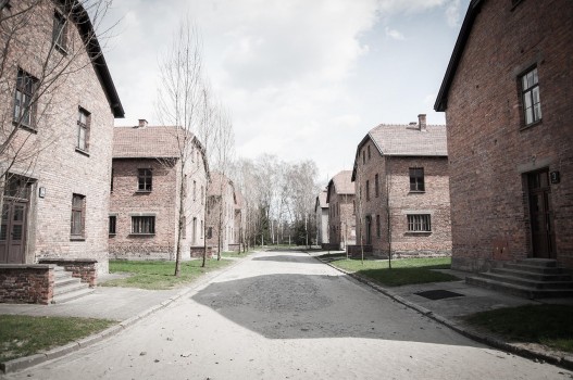 Multigeneračná trauma preživších Holokaustu a jej odraz v dnešnom Toronte