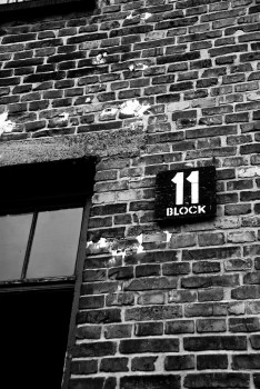 Multigeneračná trauma preživších Holokaustu a jej odraz v dnešnom Toronte