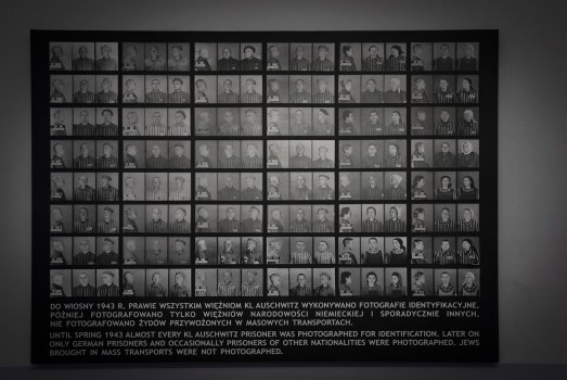 Multigeneračná trauma preživších Holokaustu a jej odraz v dnešnom Toronte